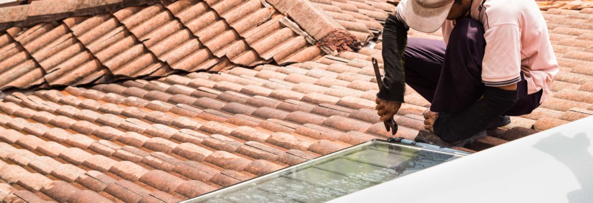 Roof Reinforcement
